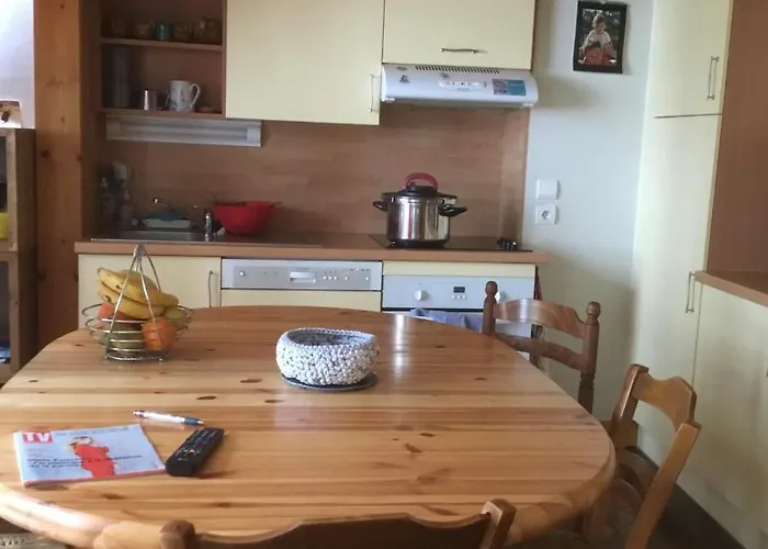 Typique,chaleureux Et Pratique Διαμέρισμα Σαμονί